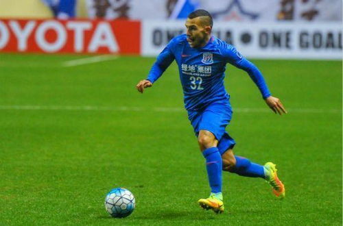 河滩种植的挑战与机遇：特维斯巴甲的应对策略