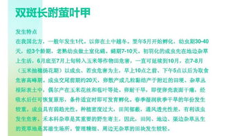 襄阳甲维盐：对抗全球虫害， 保障粮食平安的新力量