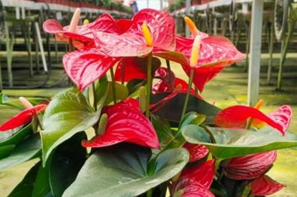 营养，营养，别忘了营养