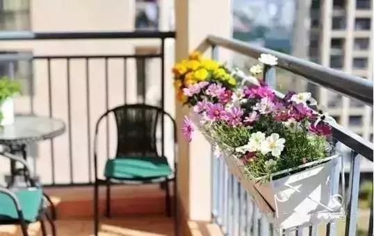 冬天阳台放花如何保暖？如何让花朵安全过冬