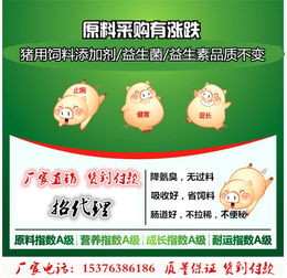 猪饲料配方中强化大猪料成分，对猪的生长性能和肉质有显著提升吗？