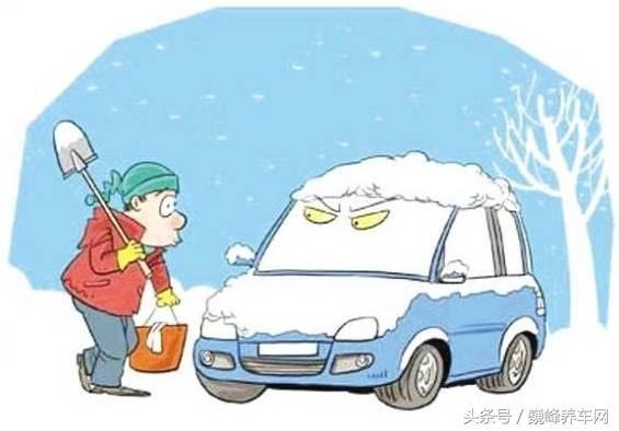 到货处理完毕，小苗生长的关键要素