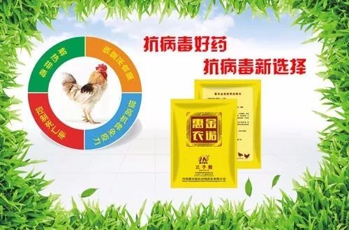 饲料中胱氨酸的植物来源有哪些？其在蛋鸡饲料中的应用效果如何？