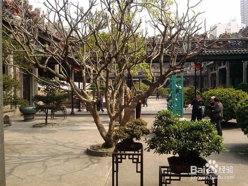 中国国内那些有趣的景观设计比赛，你知道吗？