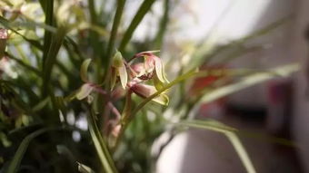 光不够，你这个小淘气！