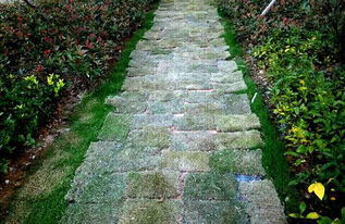 施工前场地需要哪些特殊处理？