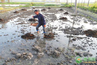 二、 混合使用的可Neng性和影响