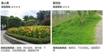 你知道吗？一株成年柳树每天嫩