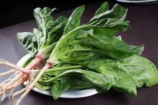 香菜：耐寒的小清新