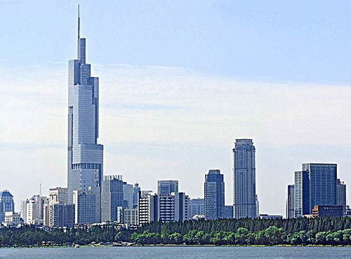 南京紫峰大厦一棵柳树，寒冬中竟吐出新芽
