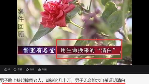 牡丹花瓣像云朵？看完这篇文章就明白