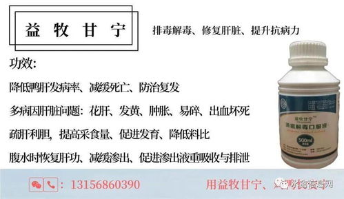 家禽免疫失败关键因素：疫苗质量、接种技术、环境应激