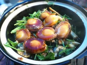 铁螺狮怎么煮才嫩既入味又保持鲜嫩呢？——来来来让我们聊聊这味儿的秘诀！