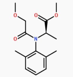 菜农的血泪教训