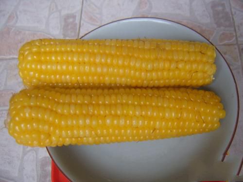玉米煮多久最好吃？老农教你秘诀