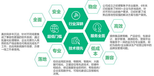 第一阶段：20世纪80年代到90年代中期