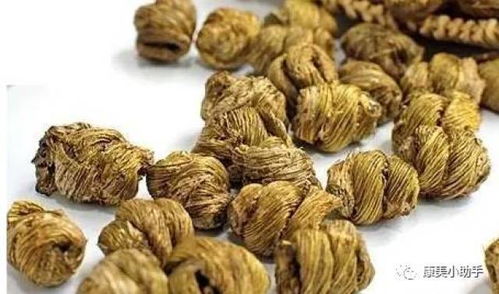铁皮石斛对哪些有机石斛杀虫剂表现出敏感反应？