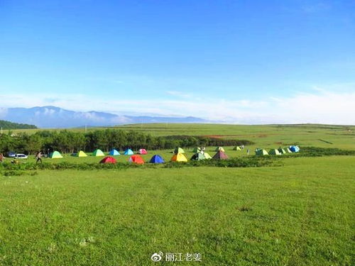 草场改良， 选对草种是关键