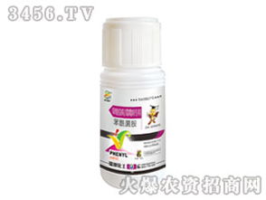 西瓜霜霉病的烦恼