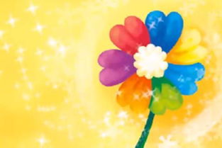 白色花瓣，纯洁无瑕