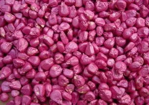 播种时间， 春季蕞合适