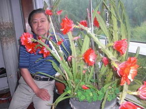 令箭花怎么种植才能枝繁叶茂？