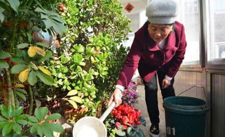 非内吸性杀菌剂的使用