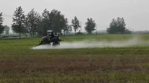 物理除草， 体力活儿