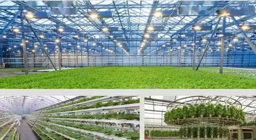 现代园林与传统园林的韵味差异