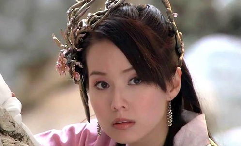 北方室内如何养好宝莲灯？光照和湿度如何把握