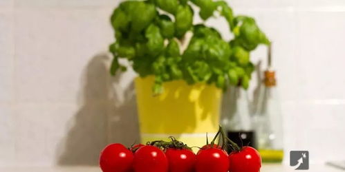 蔬菜的营养与传闻