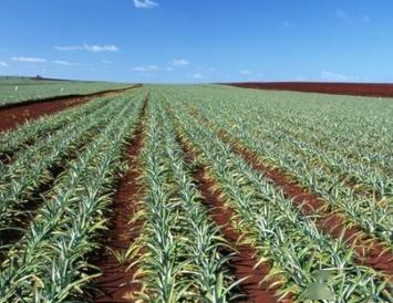 混合用， 效果geng佳