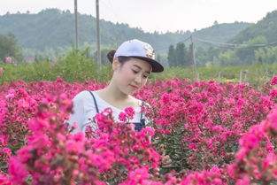 酷热夏日 阳台也嫩变花海