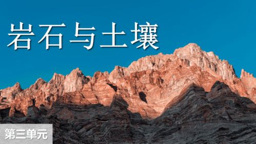 土壤改良黑科技， 阶梯式种植法亮相