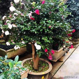 再来堪堪是不是水的问题