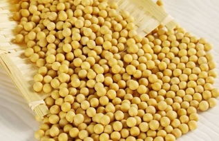 二、 乙草胺对黄豆生长的影响原因