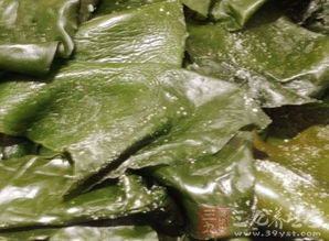 如何防范万年青白粉病