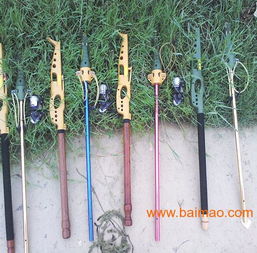 一杆五定位钓鱼竿，售价高昂