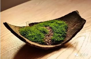 盆土不长苔藓？土壤酸碱度失衡了吗