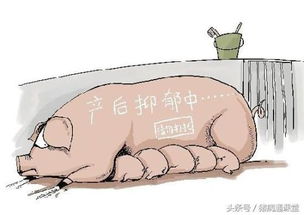 夏季母猪分娩与仔猪养护技巧