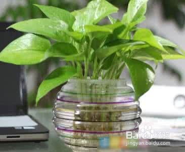 植物营养液配制方法，如何根据不同植物需求精准配比
