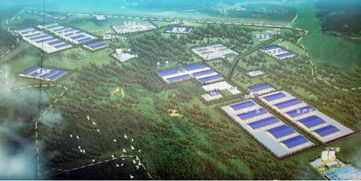 高效猪舍设计与配套设施优化