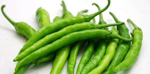 种小绿豆的时候究竟啥时候是好