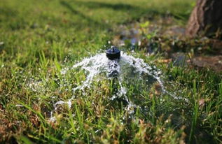 灌水量， 灌水次季节变化要跟上