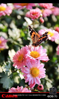 接着，环境布置要用心！