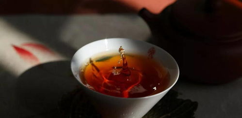 泡好的菊花茶可以放多久？如何保存才能保持最佳口感