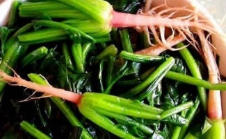 菠菜烂根是什么原因导致的，为什么菠菜根部会腐烂