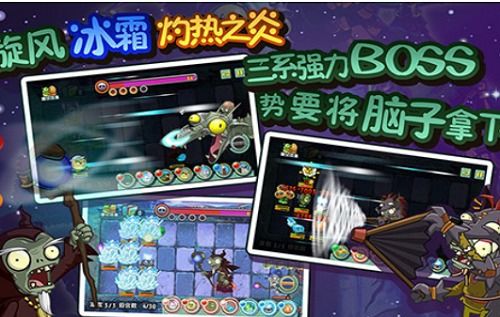 向日葵崇拜的阳光之旅