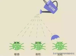 用冷水稀释农药，降低药效