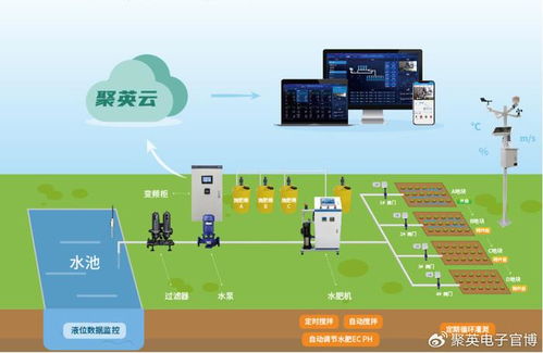 水循环的两大关键要素：农业灌溉与水资源管理